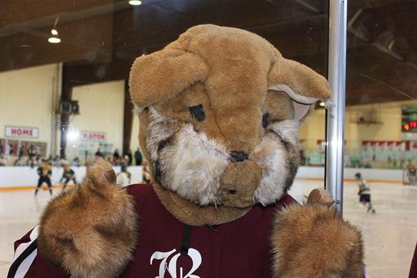 The Bishop Strachan School